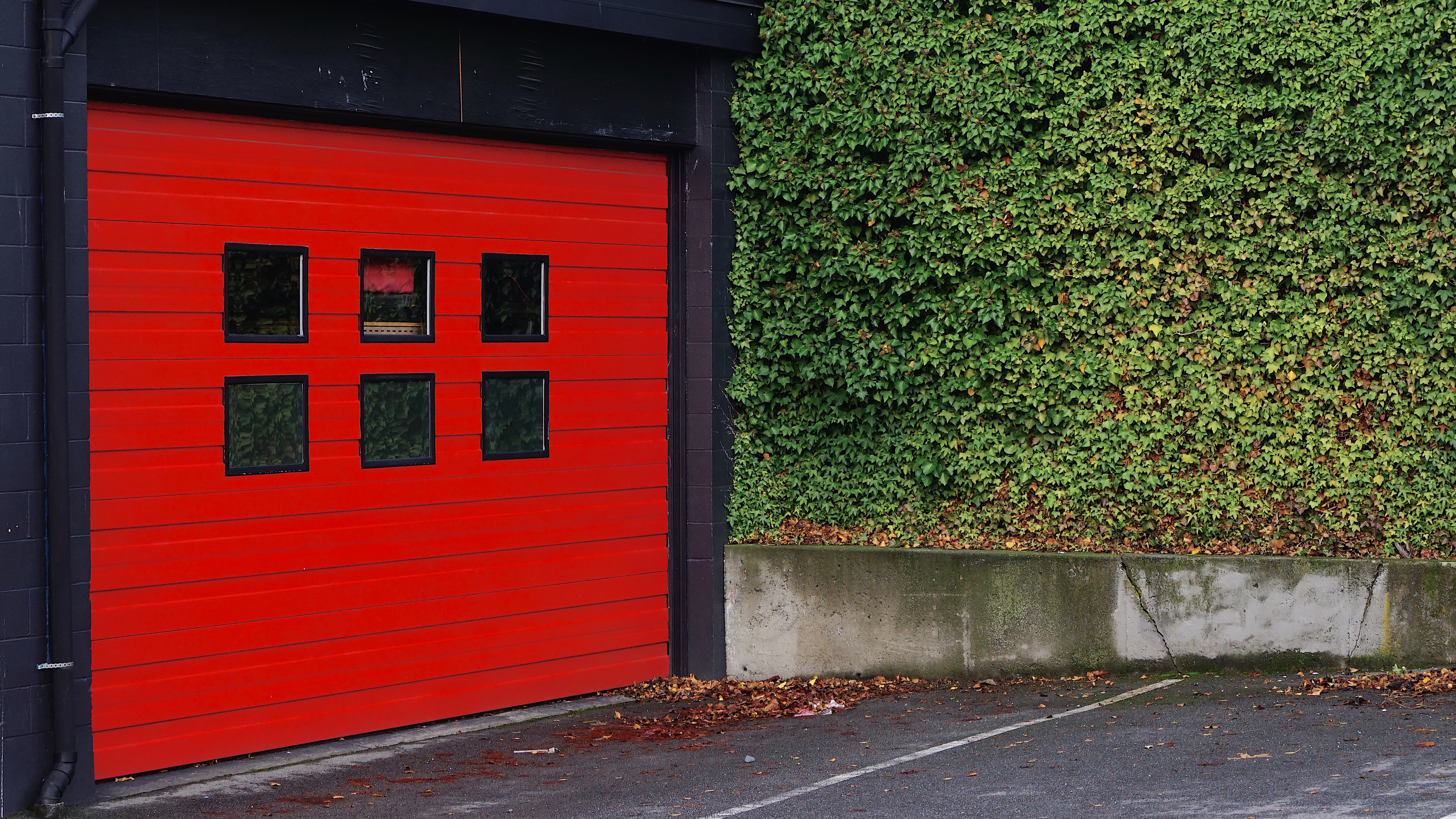 Considering a New Garage Door? What You Need to Know About Material