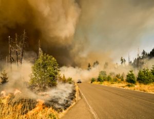 It’s Wildfire Season! Is Your Family Prepared